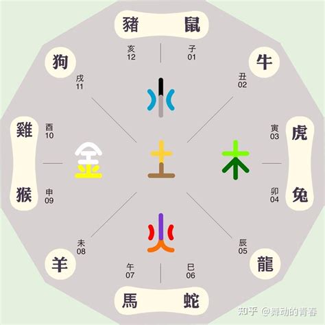 寅 五行|五行